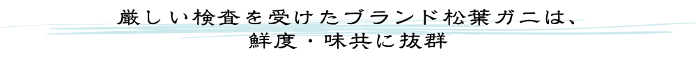 厳しい検査を受けたブランド松葉ガニは、鮮度・味共に抜群