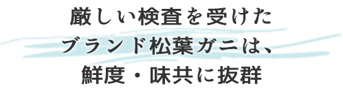 厳しい検査を受けたブランド松葉ガニは、鮮度・味共に抜群